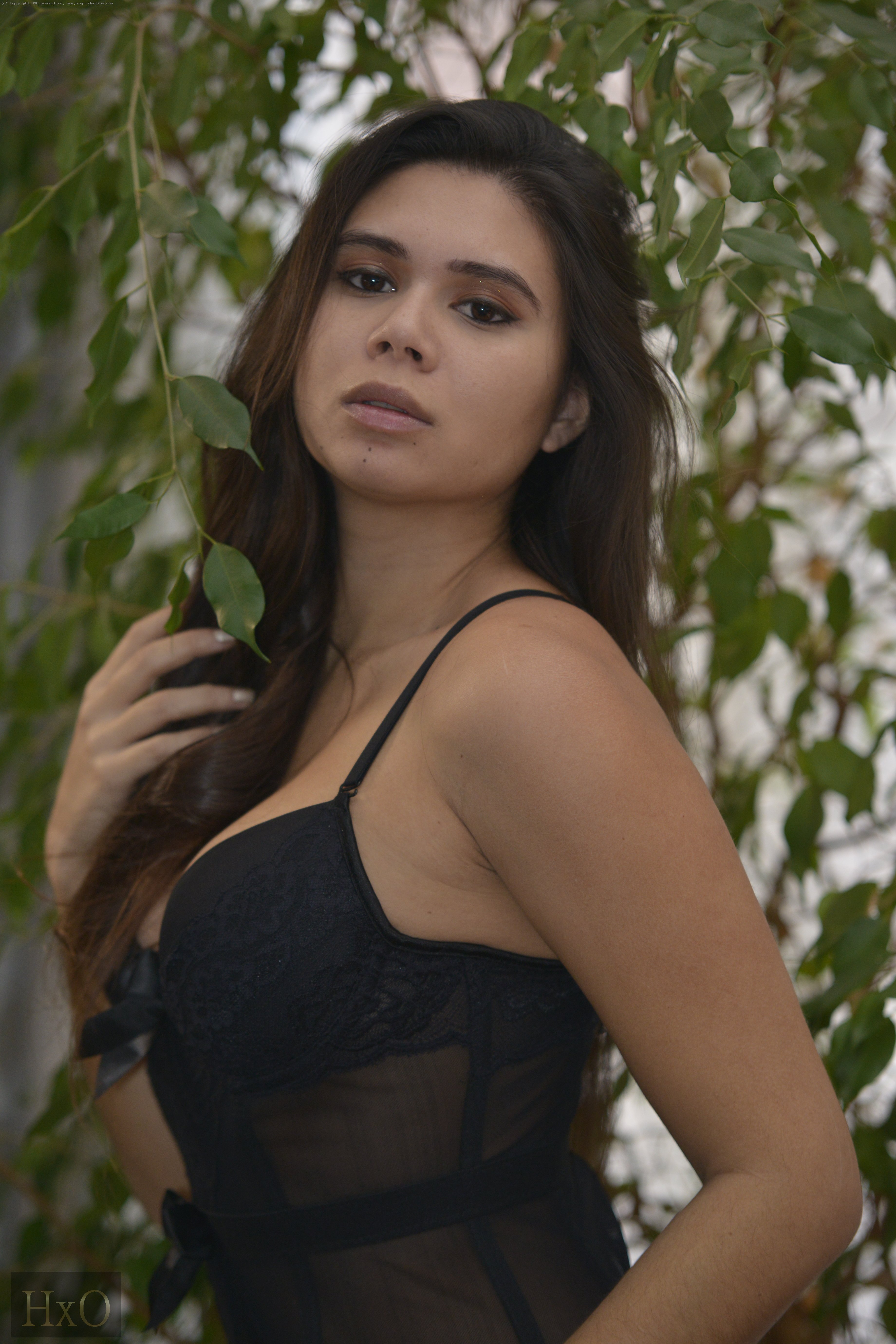 Savana